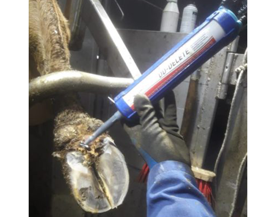 CowCare DD-DELETE® Care Gel, kit cartus cu varf, 300 ml - imagine 3